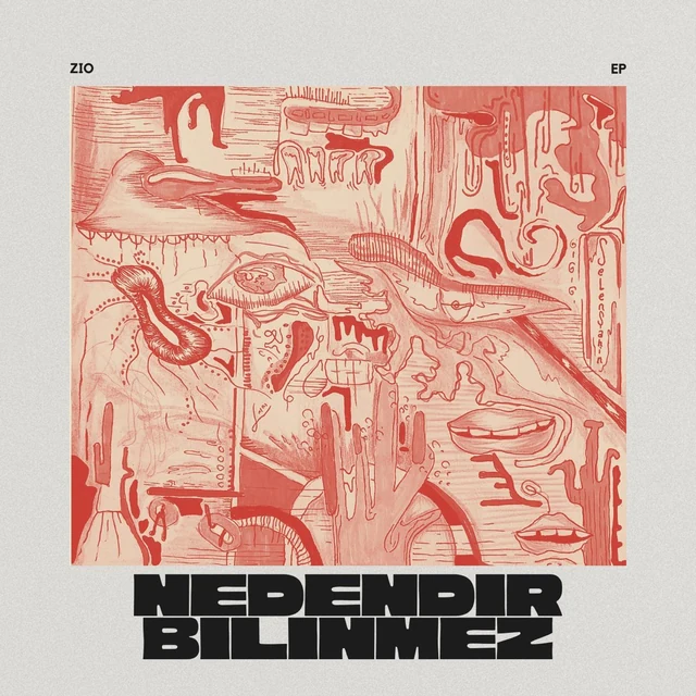 Nedendir Bilinmez cover artwork